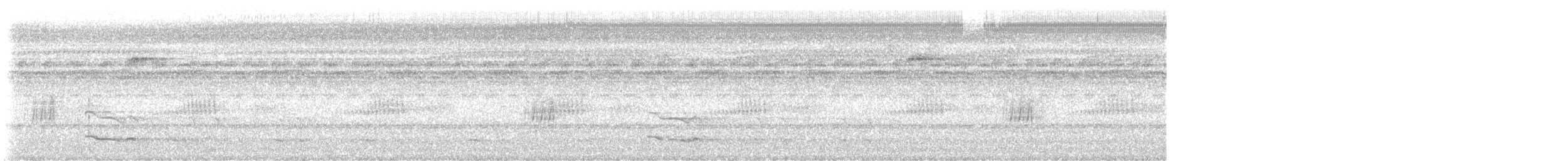 Organiste moucheté - ML647203049