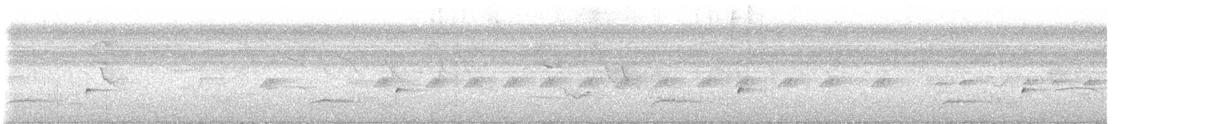 Organiste moucheté - ML647203050