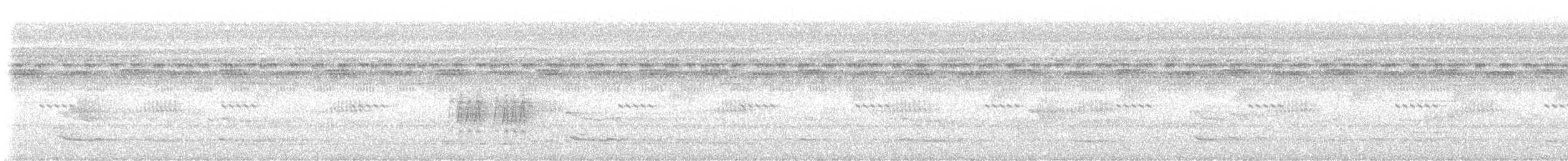 Organiste moucheté - ML647203052