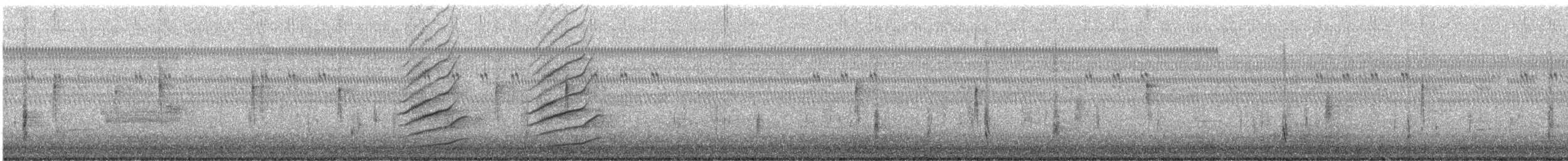 Great-tailed Grackle (Great-tailed) - ML647203615