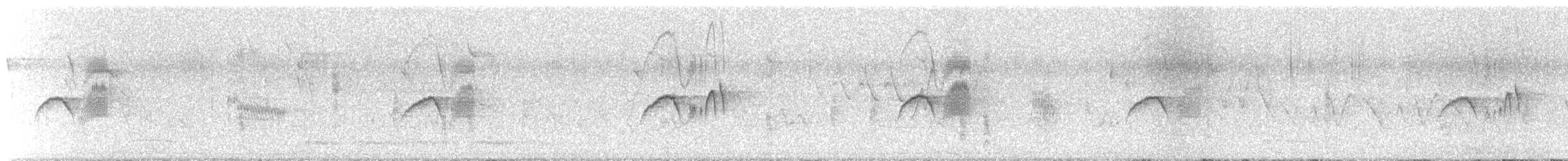 Eastern Phoebe - ML647203874