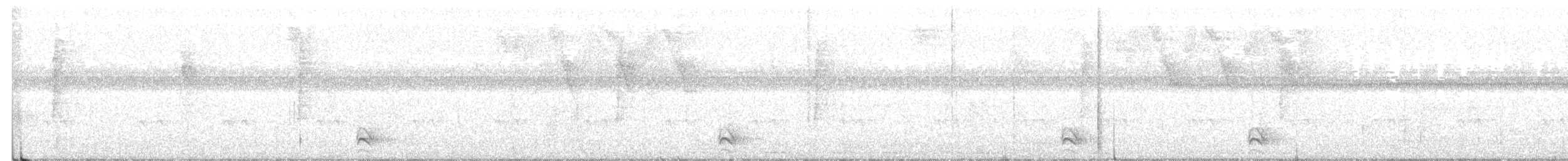 tyrannidé sp. - ML647203913