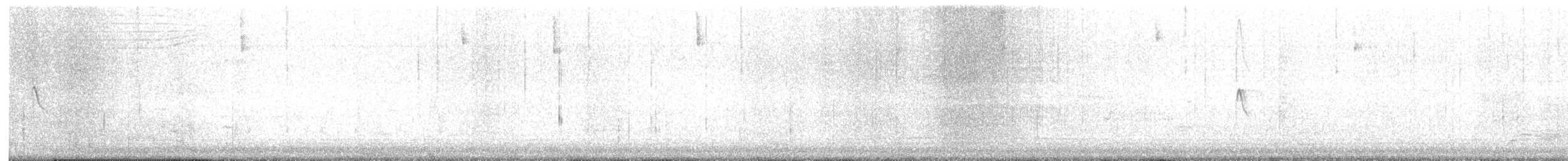 Black Phoebe - ML647203994