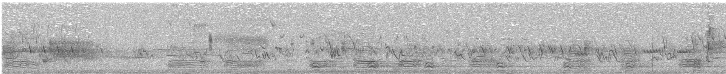 Corneille d'Amérique - ML647204142