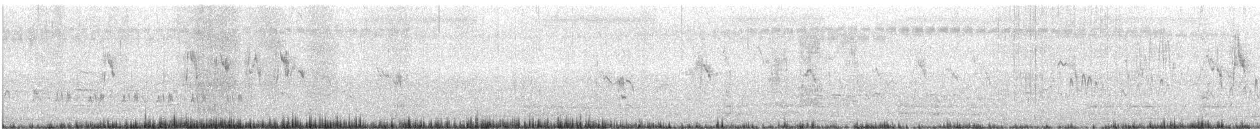 ニシツメナガセキレイ - ML647204178