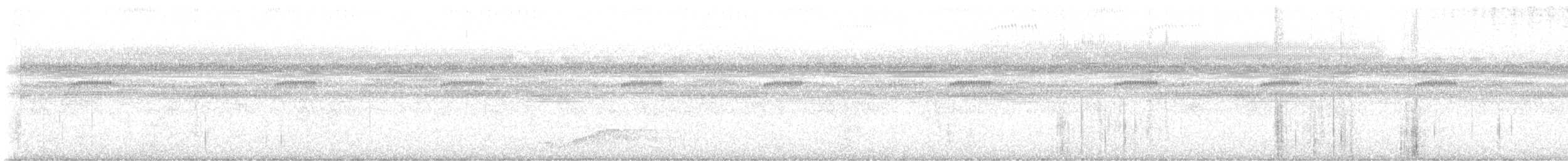 Engoulevent à queue courte - ML647204258