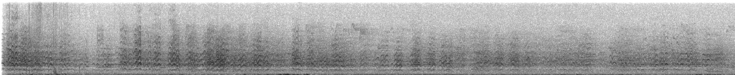 Cacatoès nasique - ML647204316