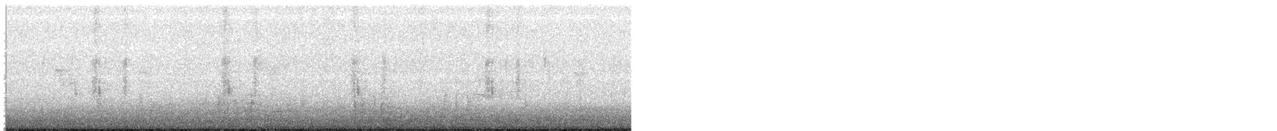 Northern Shoveler - ML647204872