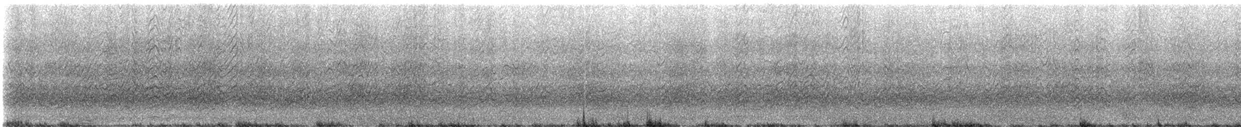 セグロアジサシ - ML647204971