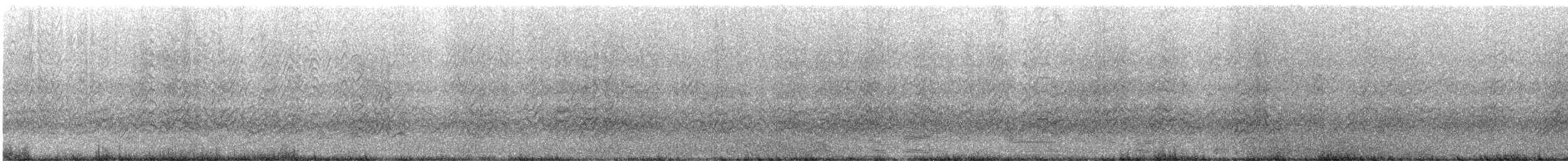 セグロアジサシ - ML647205025