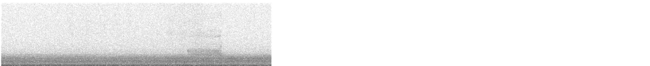 American Barn Owl - ML647206783