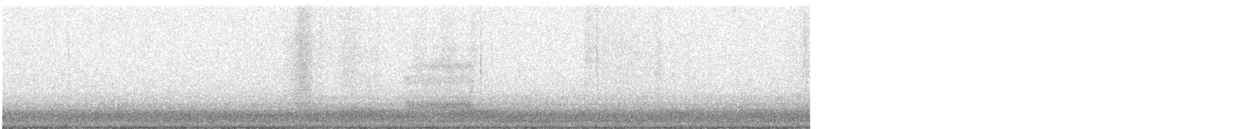 American Barn Owl - ML647206784