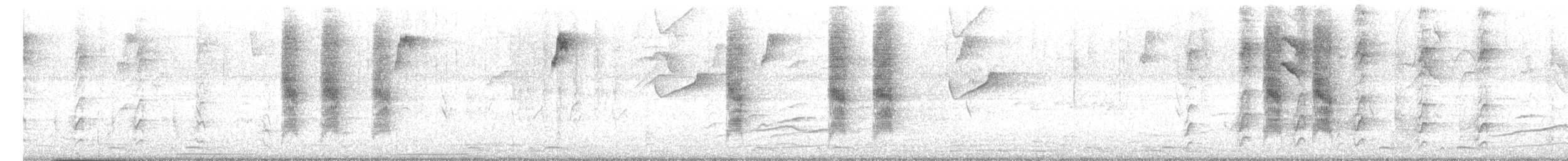 Zorzal Sabiá - ML647207562