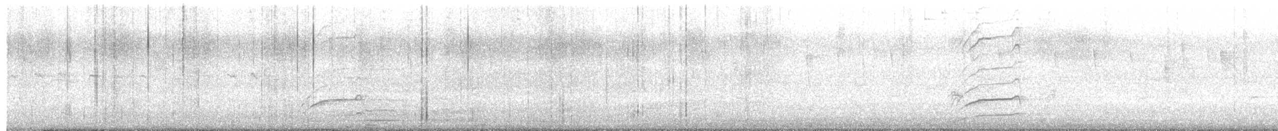 ani tlustozobá - ML647207690