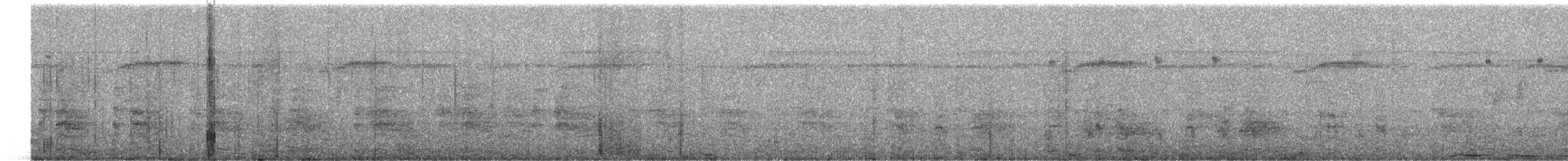 chřástal pobřežní - ML647207695