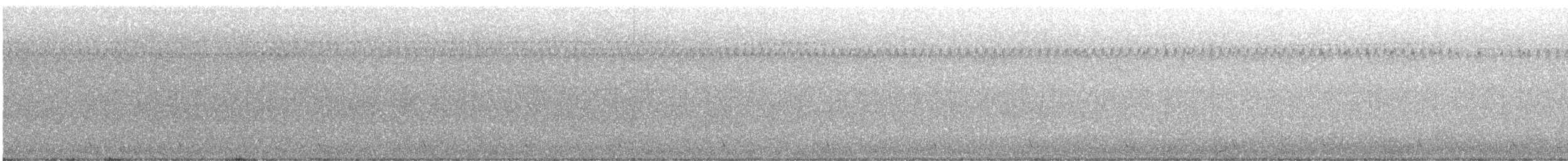 kukačka dešťová - ML647207805