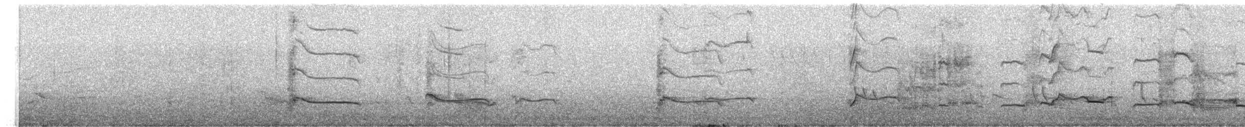 Black-bellied Plover - ML647208060