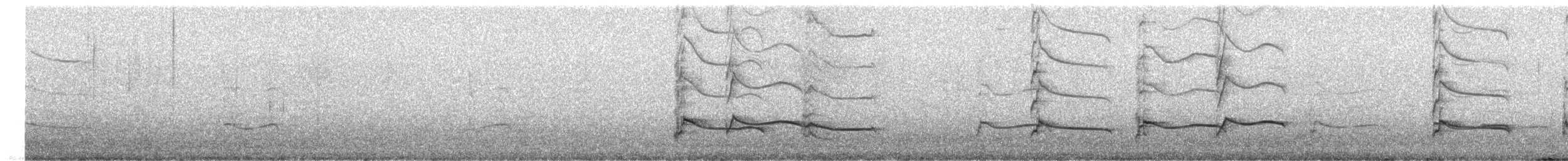 Black-bellied Plover - ML647208066