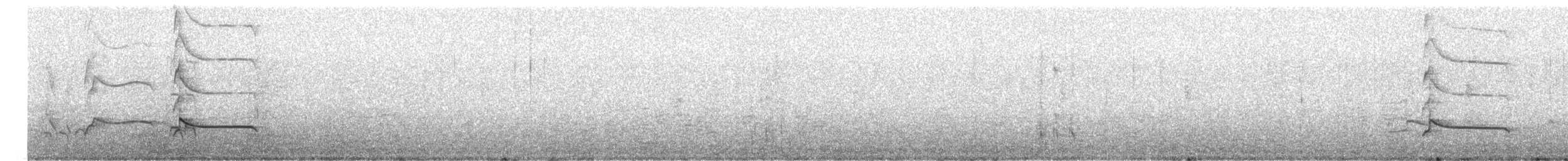 Black-bellied Plover - ML647208069