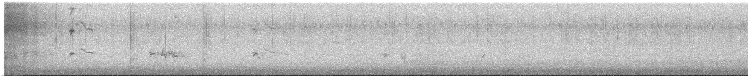 hýl křivčí - ML647208428