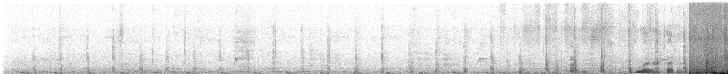 Brown-crested Flycatcher - ML647208524