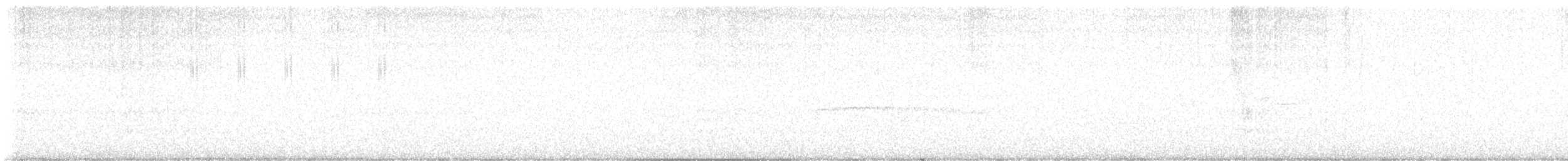 tyranovití sp. - ML647208587