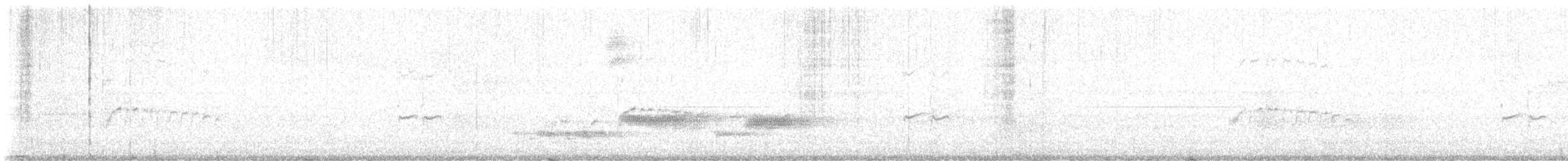 tyranovití sp. - ML647208589