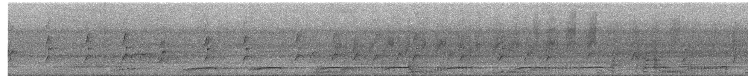 kukačka obrovská - ML647208856