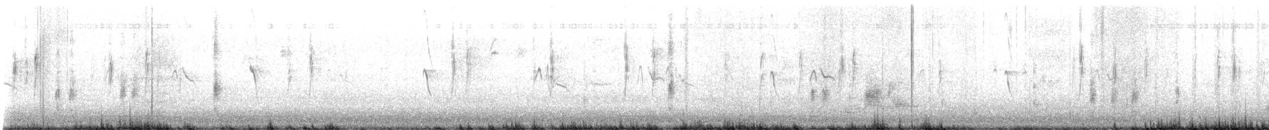 ťuhýk americký - ML647209178