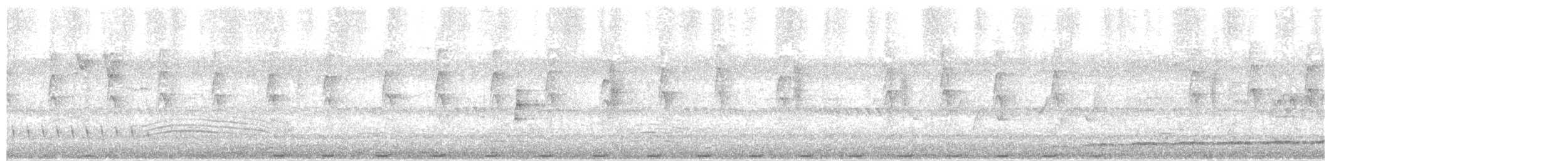 Black-backed Bittern - ML647209207