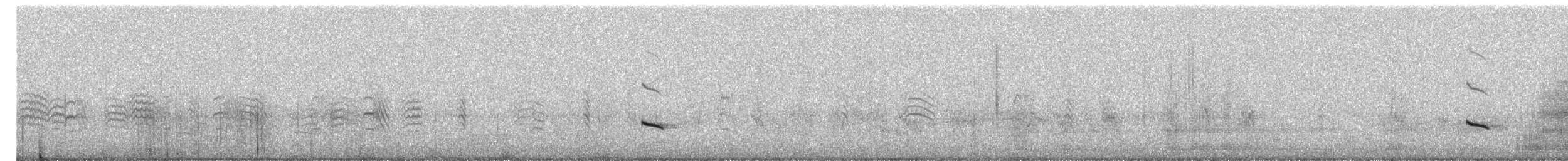 Black-shouldered Kite - ML647209326