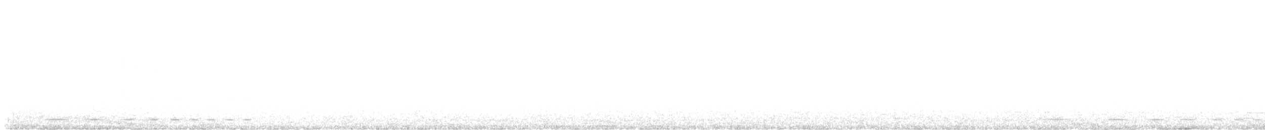 Rufous-and-white Wren - ML647209625