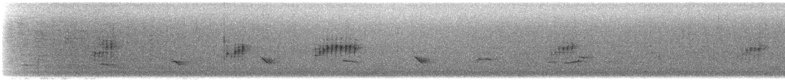 Bewick Çıtkuşu - ML647210508