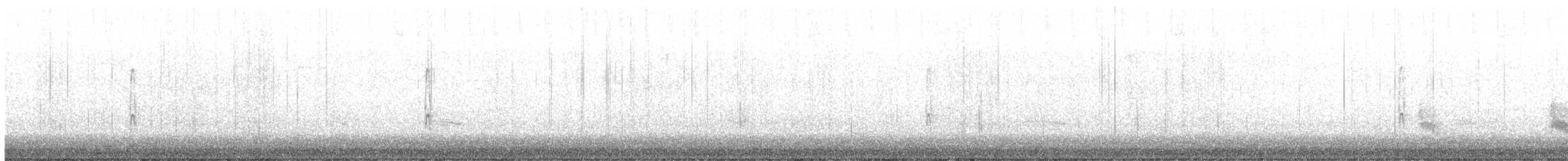 Meksika Alaca Ağaçkakanı - ML647210557