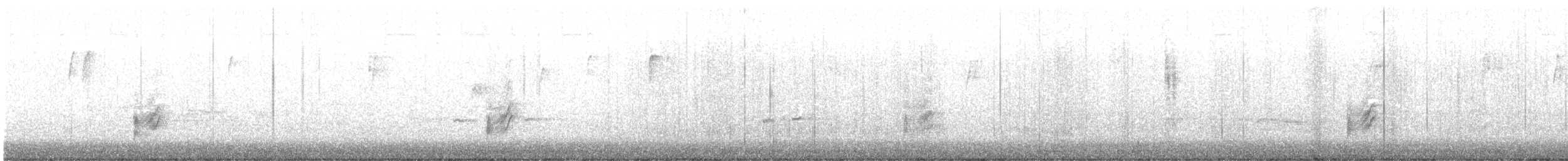 Bewick Çıtkuşu - ML647210583