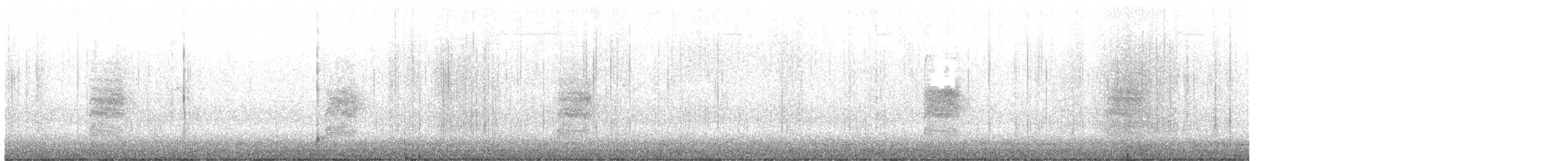 Bewick Çıtkuşu - ML647210584