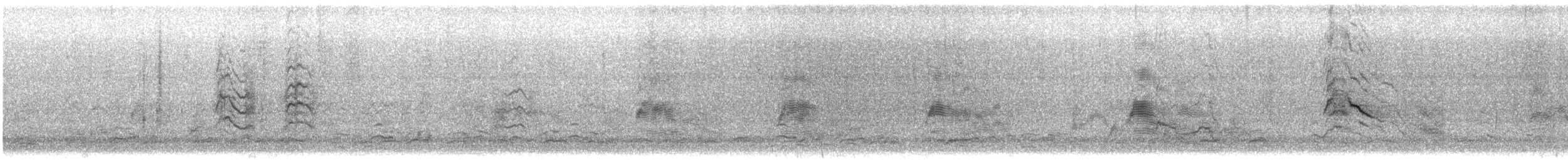 Küçük Karabaş Martı - ML647210588