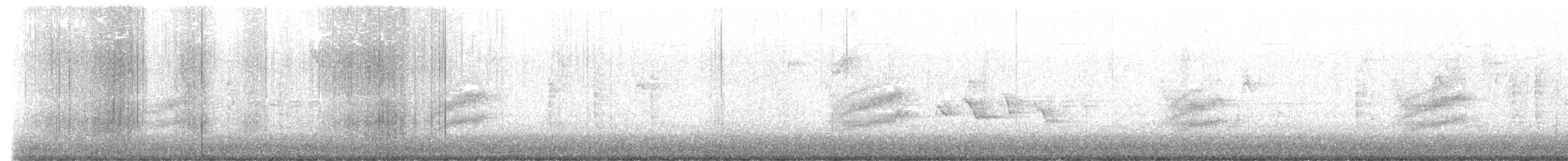 Benekli Tovi - ML647210626