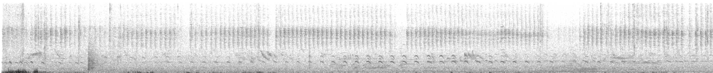 Kaşlı Kocagöz - ML647210660