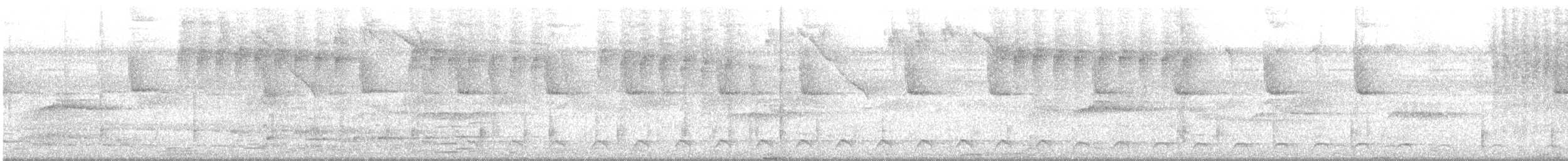 Gartered Violaceous Trogon - ML647212095