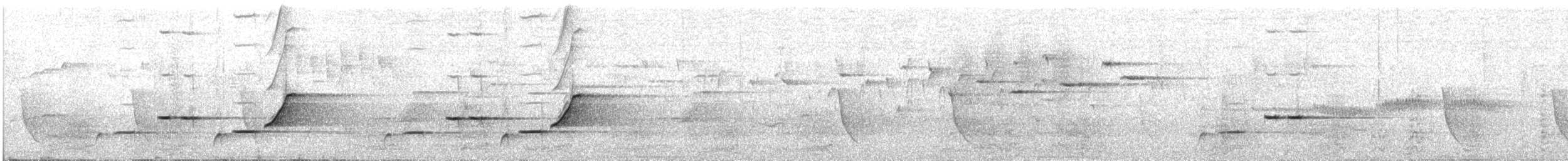 Pilotbird - ML647212115