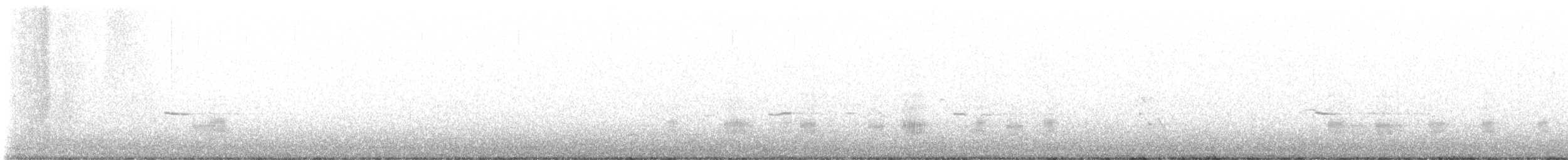 Schnatterente - ML647212263