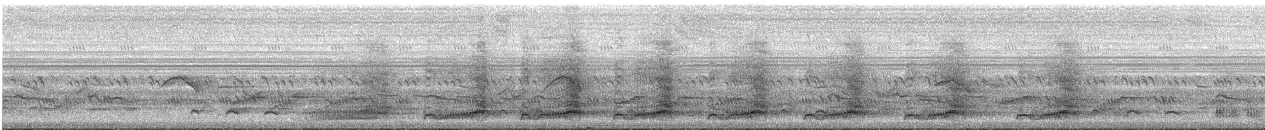 Red-necked Spurfowl - ML647212672