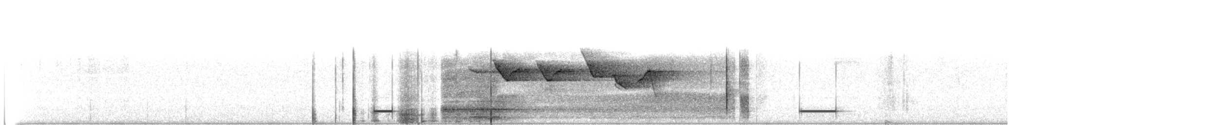 Paruline de Swainson - ML64721311