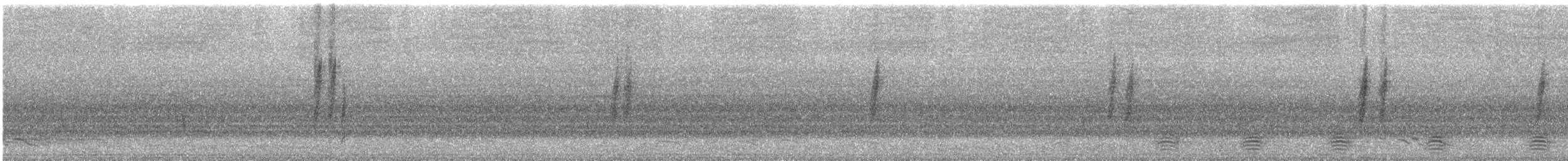 Матата руда - ML647214357