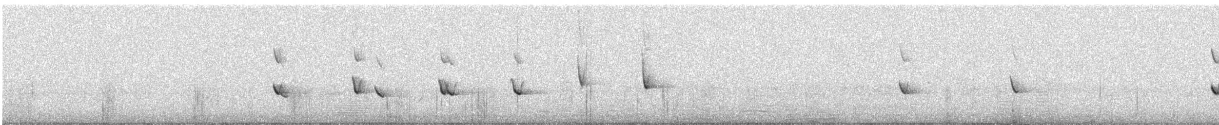 Black-shouldered Kite - ML647214781
