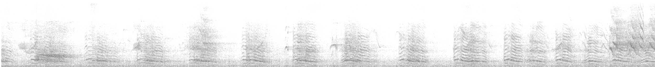 Yellow-legged Gull - ML647214805