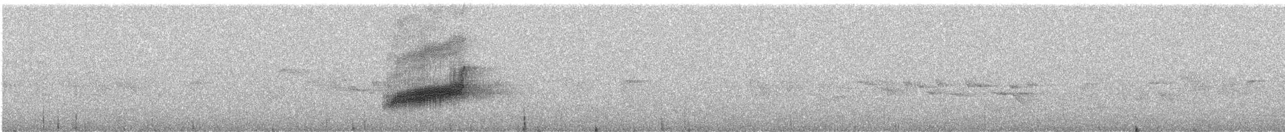 Long-tailed Koel - ML647214943