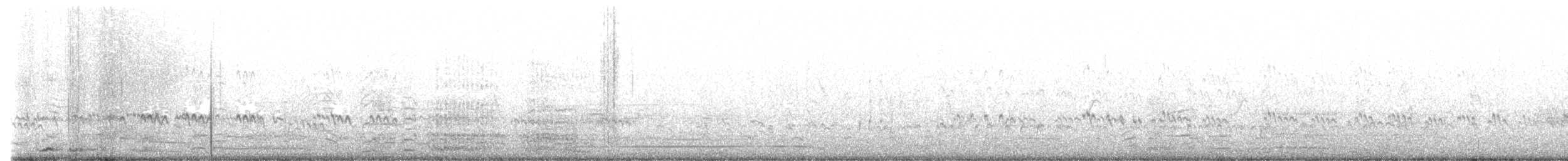 bird sp. - ML647214964