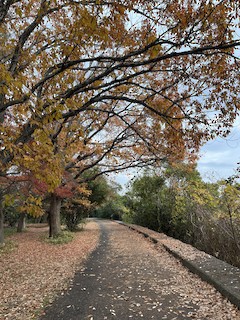 市川市--行徳鳥獣保護区・野鳥の楽園 (Ichikawa--Gyotoku Bird